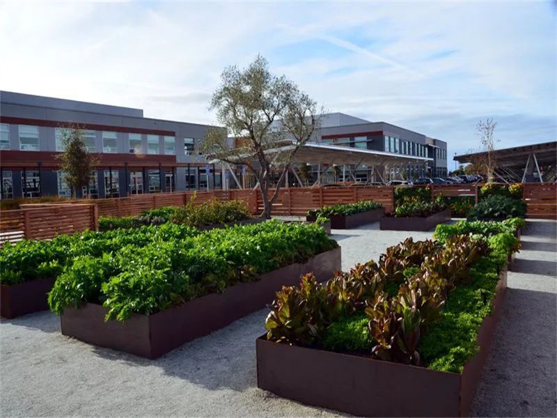 Modern corten steel garden edging For Park Project